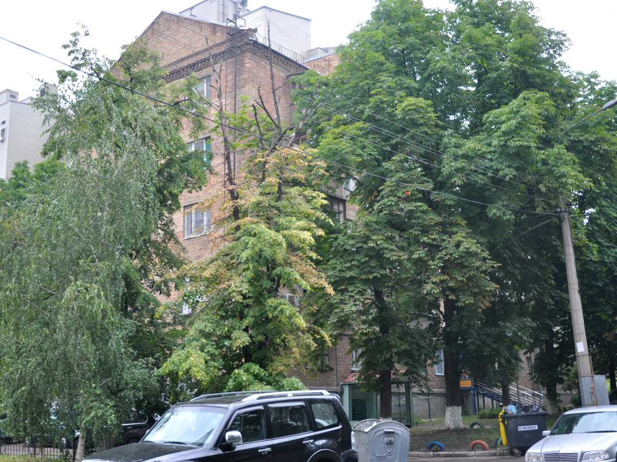 Фото будинку