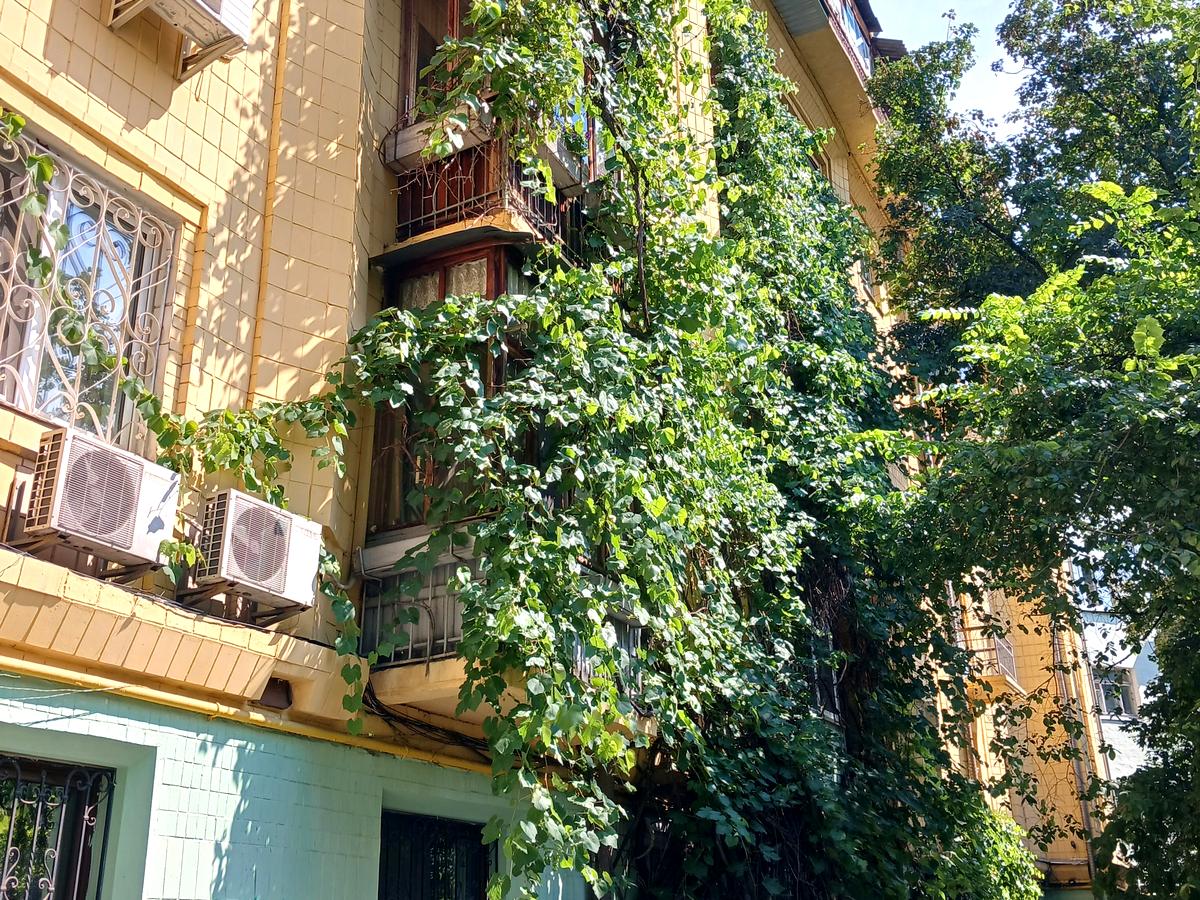 Фото дома