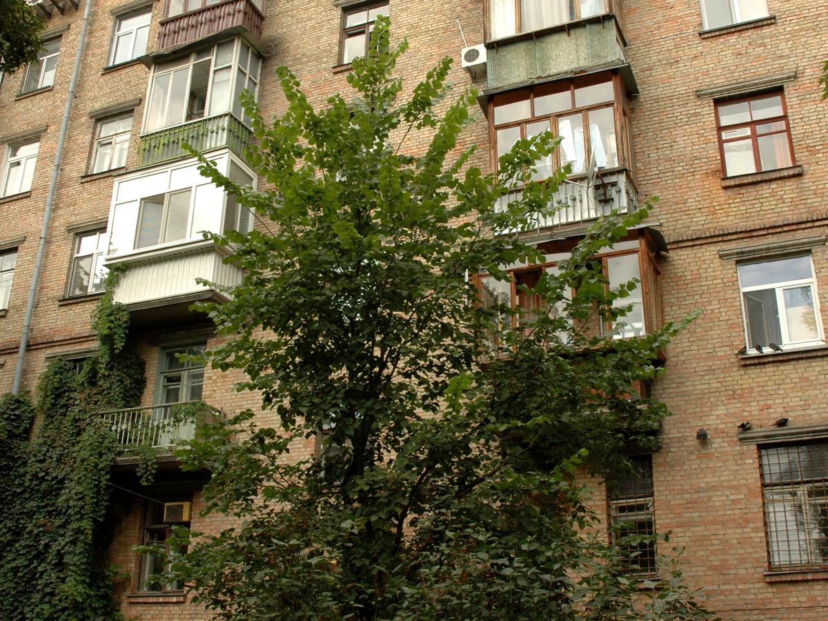 Фото будинку