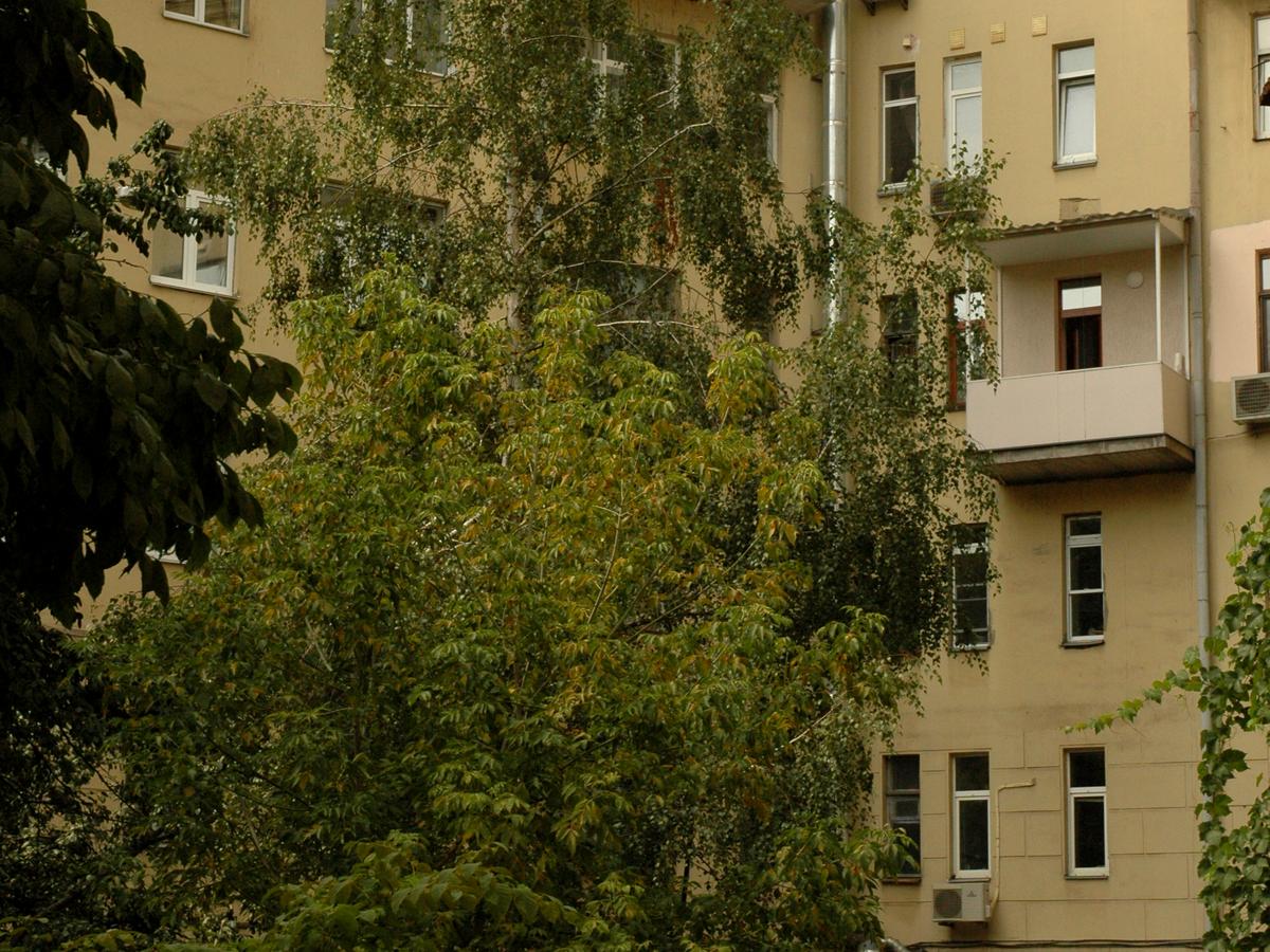 Фото будинку