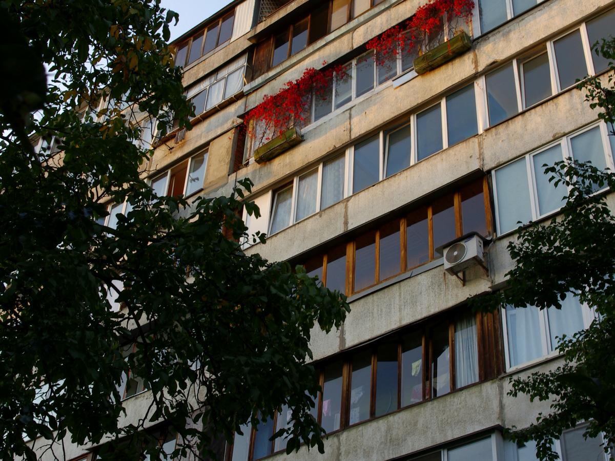 Фото будинку