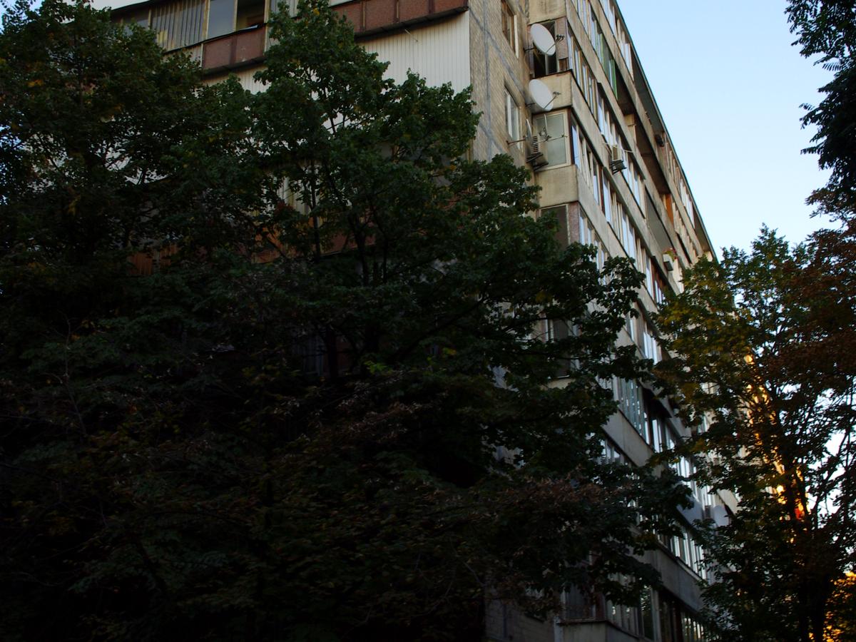 Фото будинку