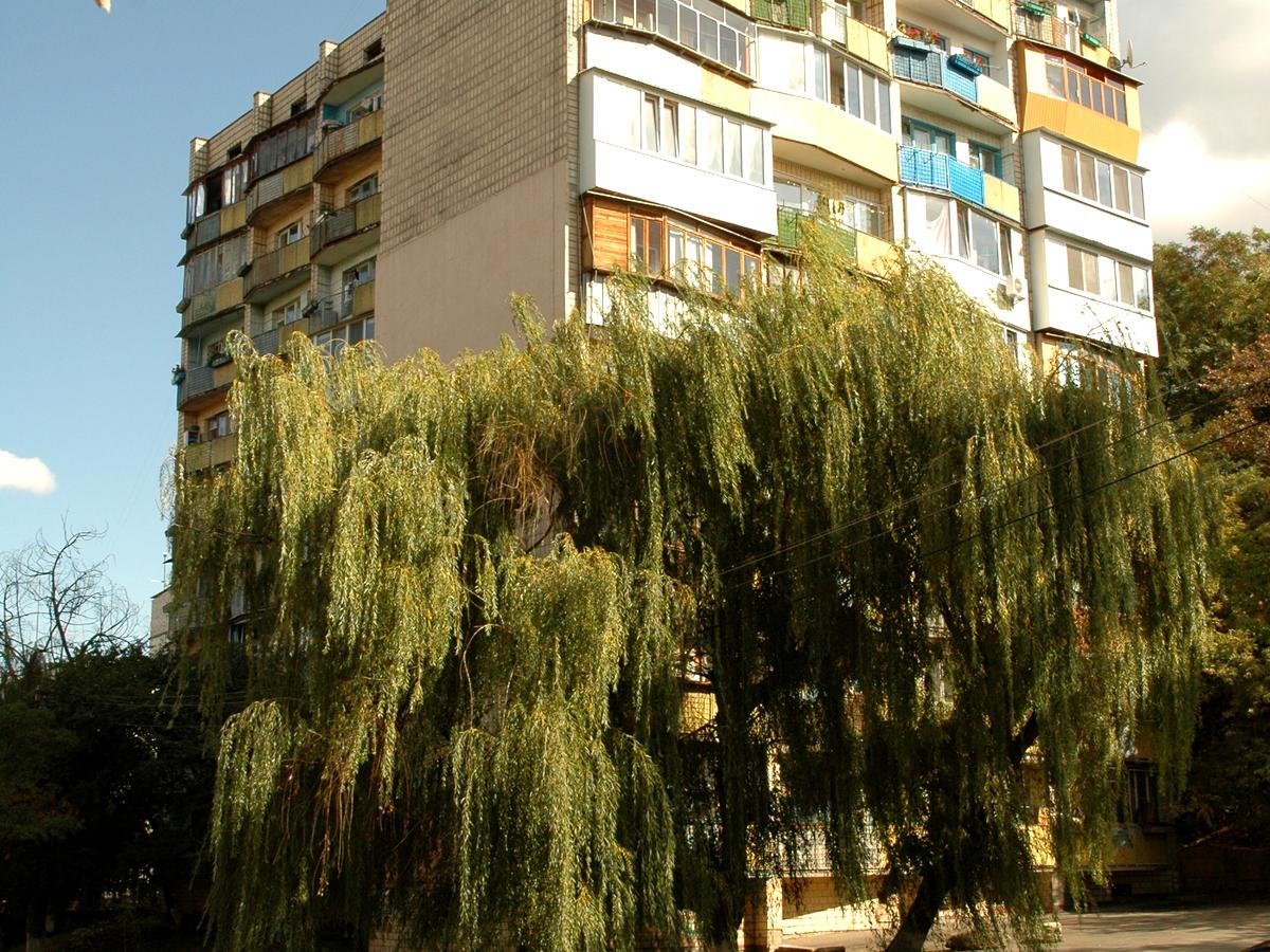 Фото будинку