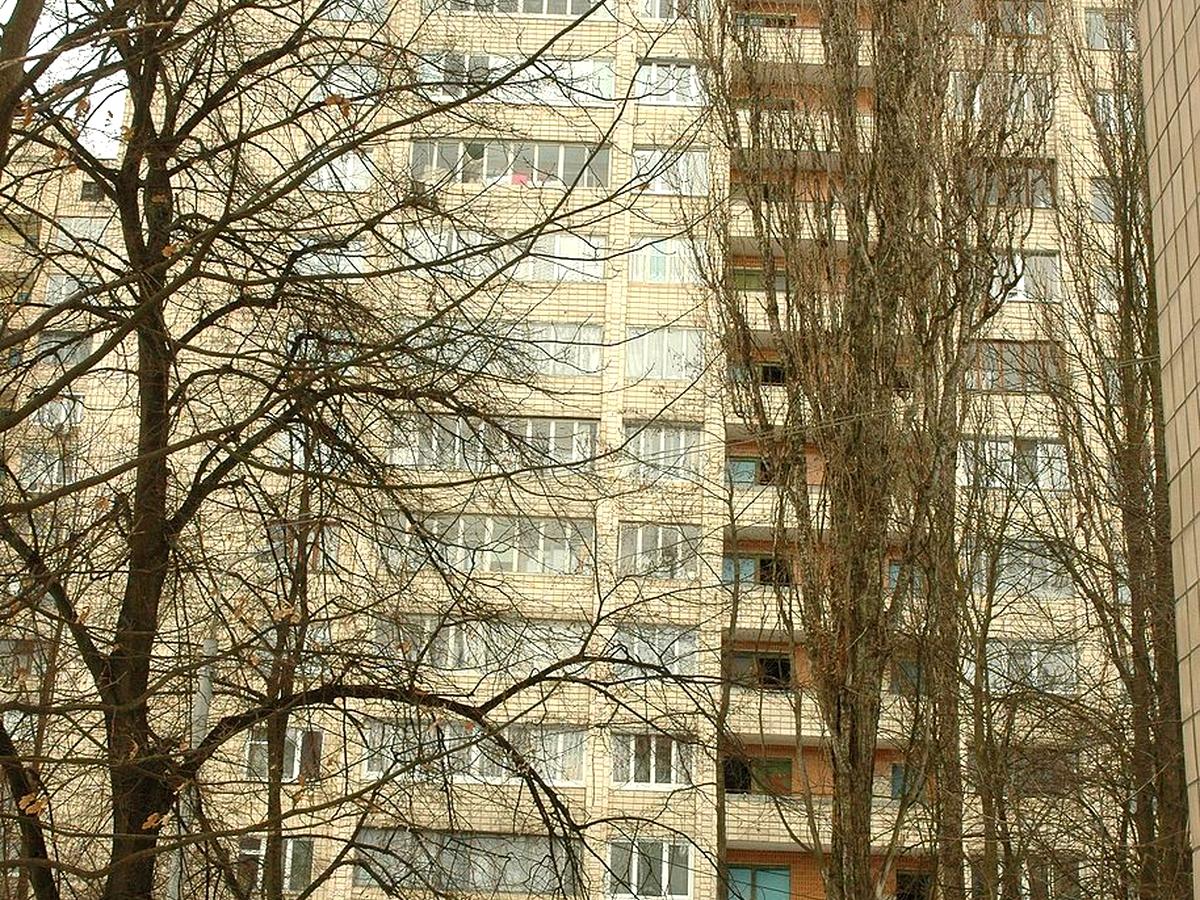 Фото будинку