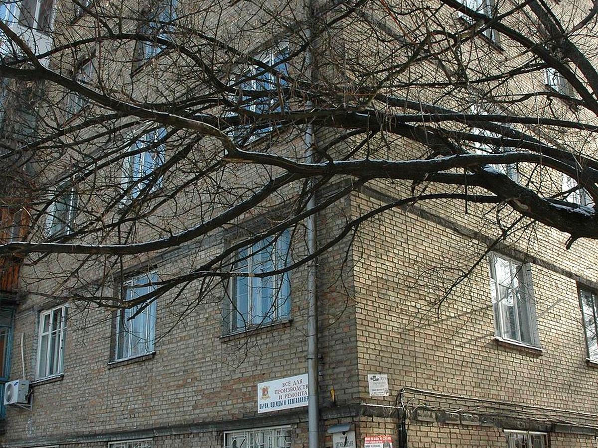 Фото будинку