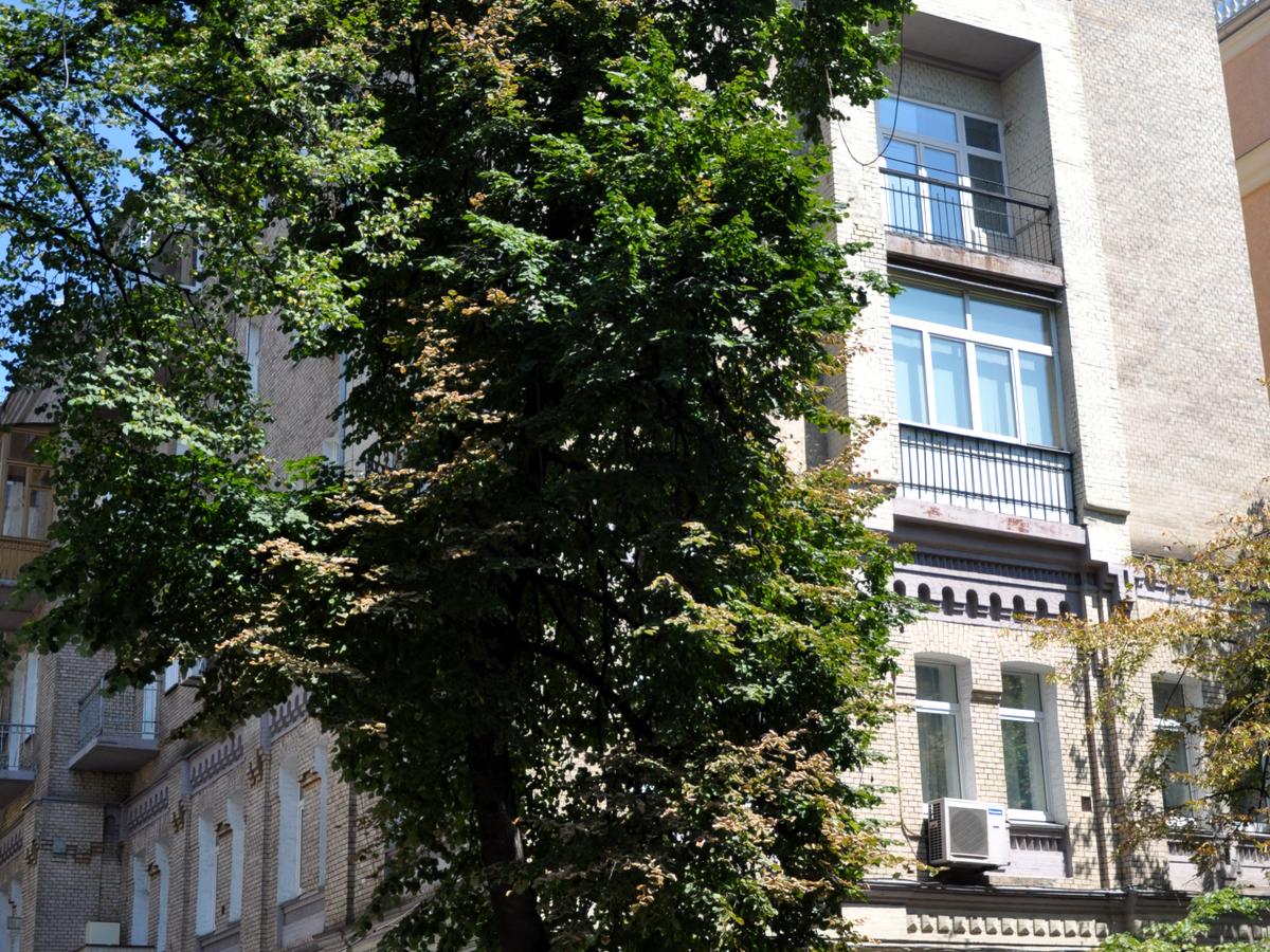Фото будинку