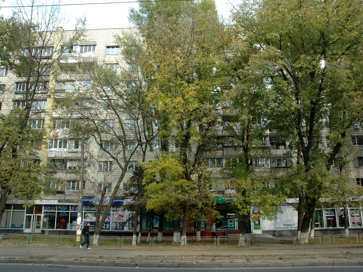 Фото будинку