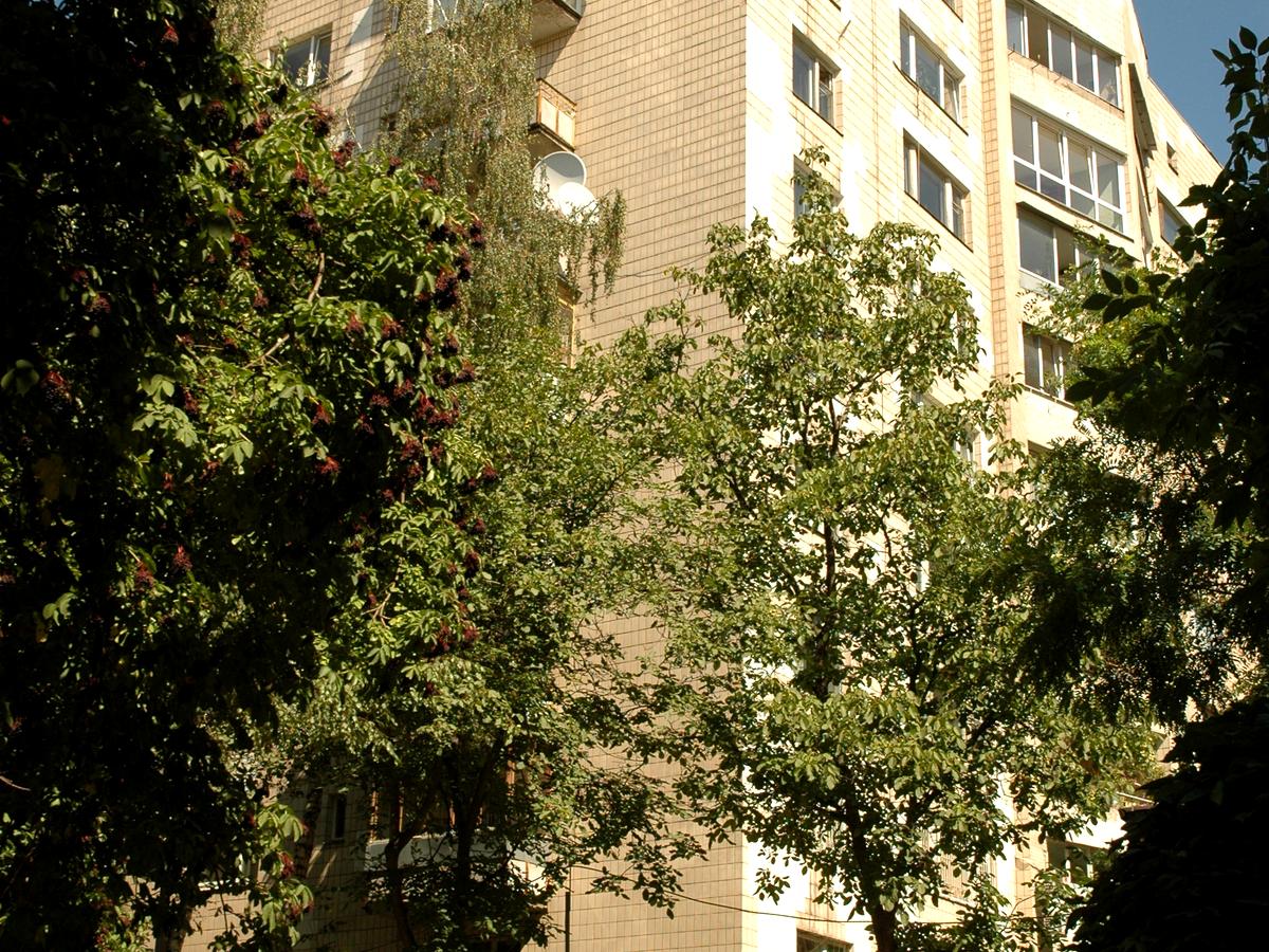 Фото дома