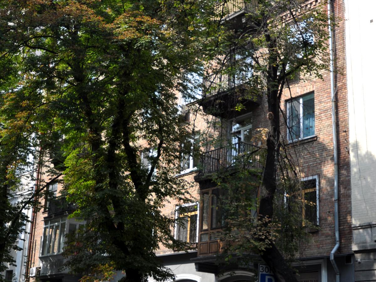 Фото будинку