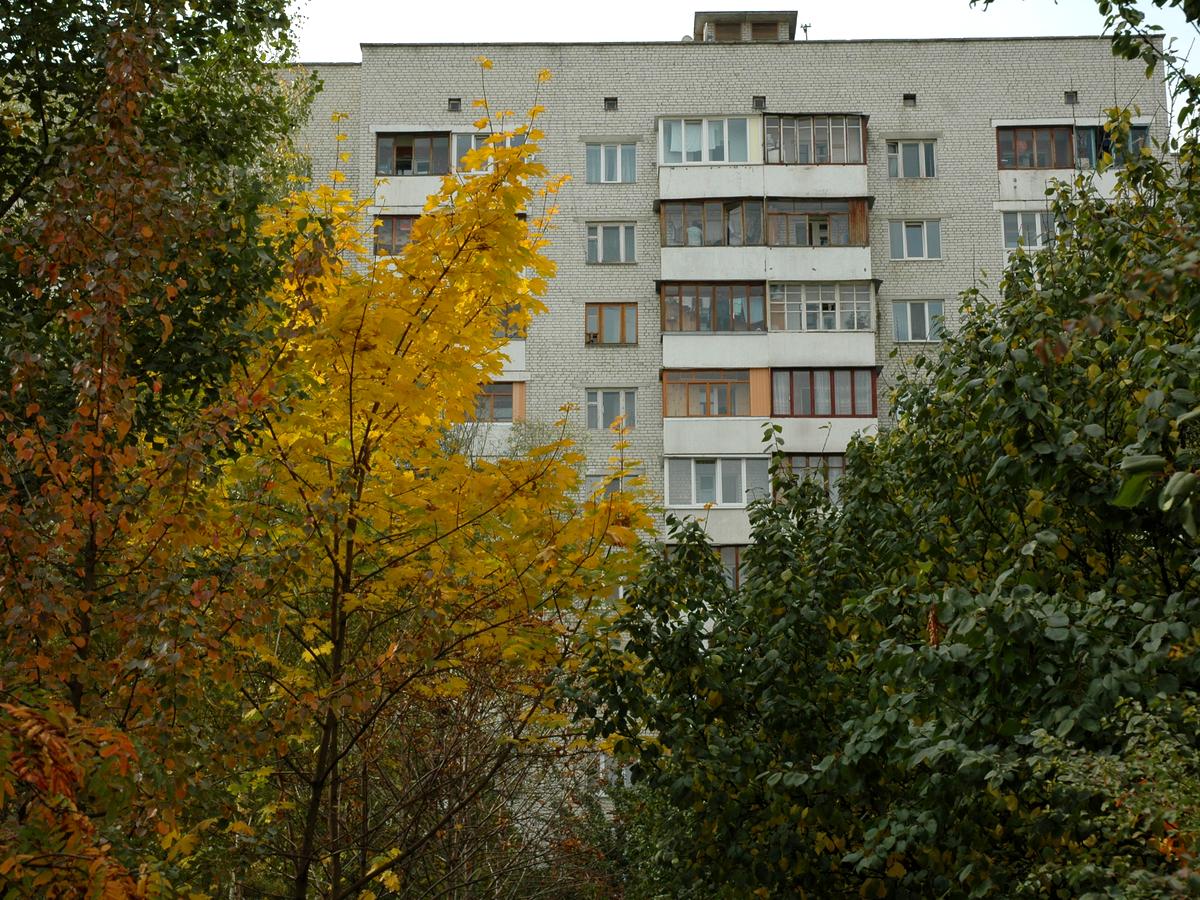 Фото будинку