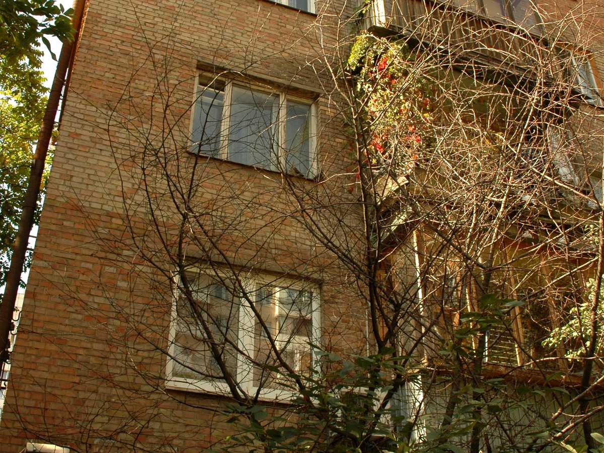 Фото дома
