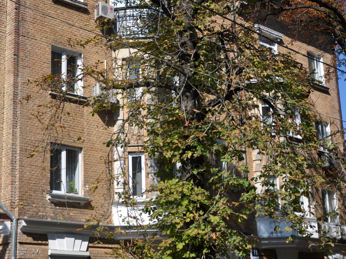 Фото будинку