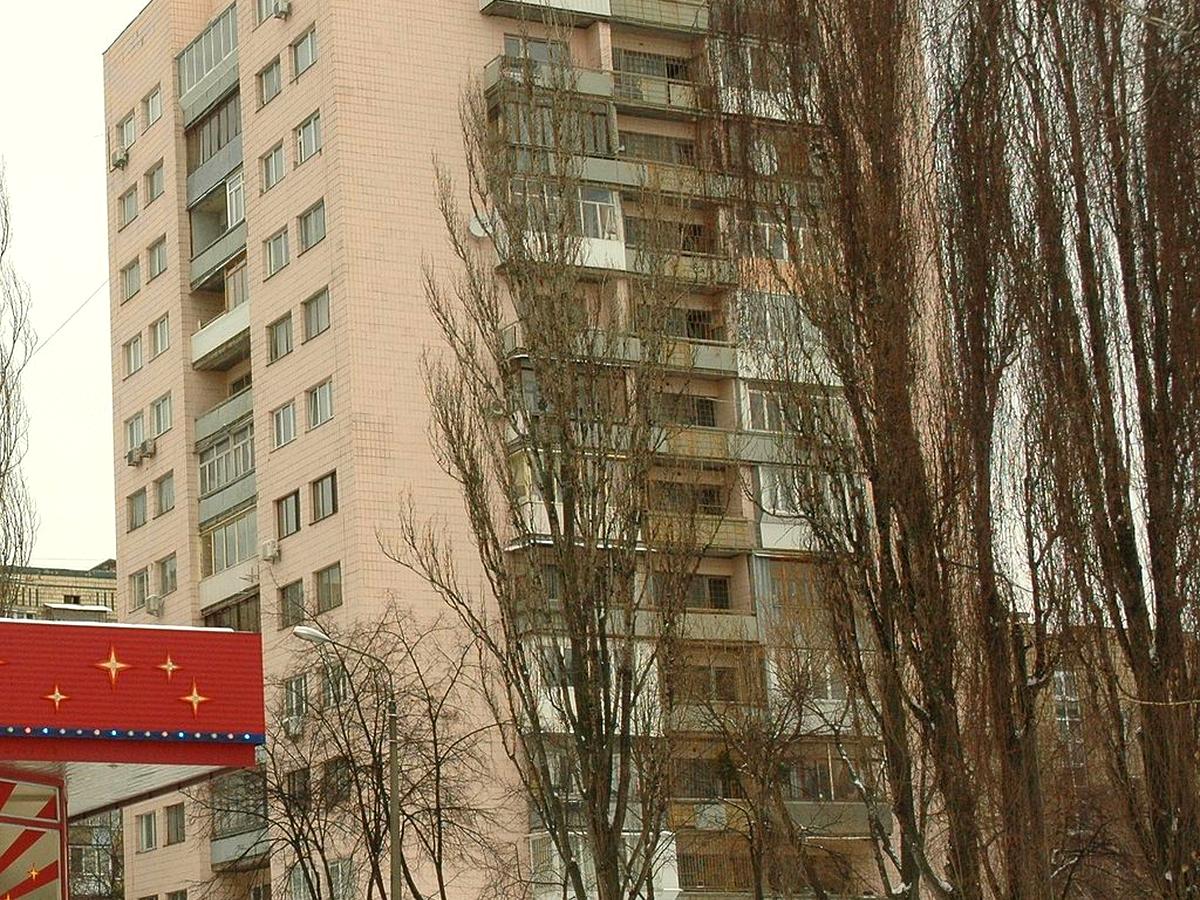 Фото будинку