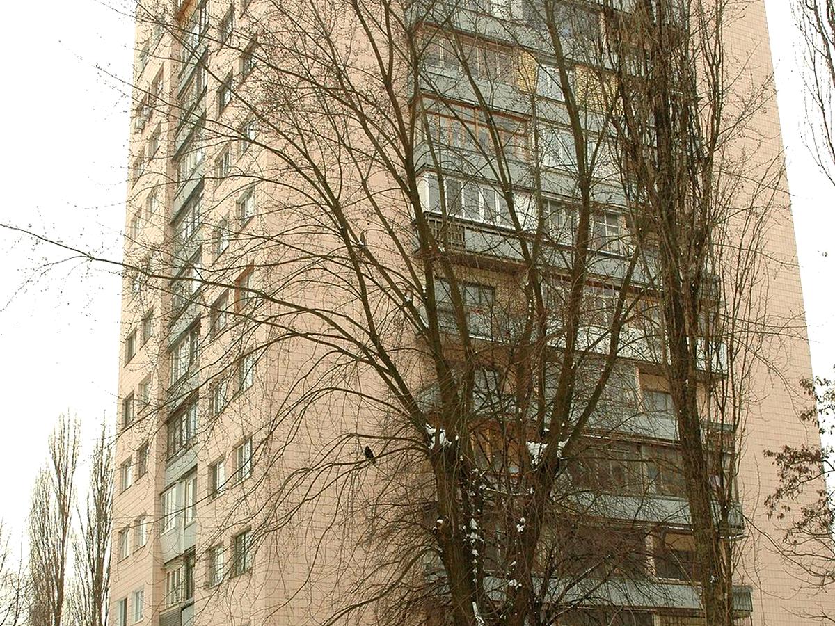 Фото будинку