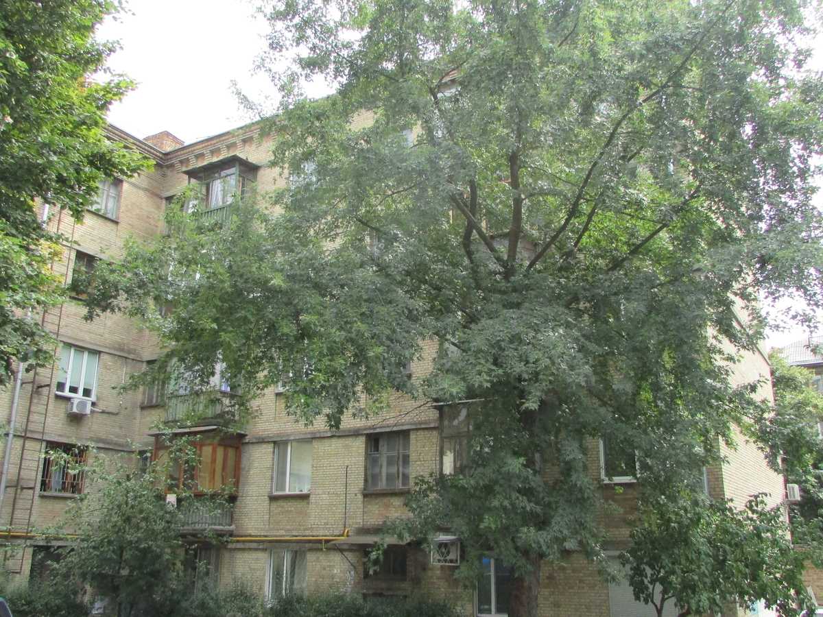Фото будинку