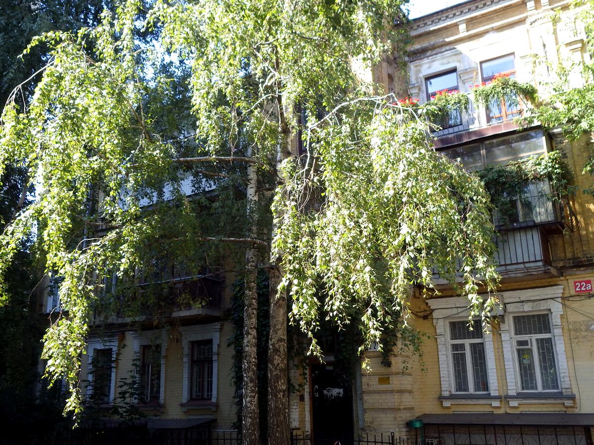 Фото будинку