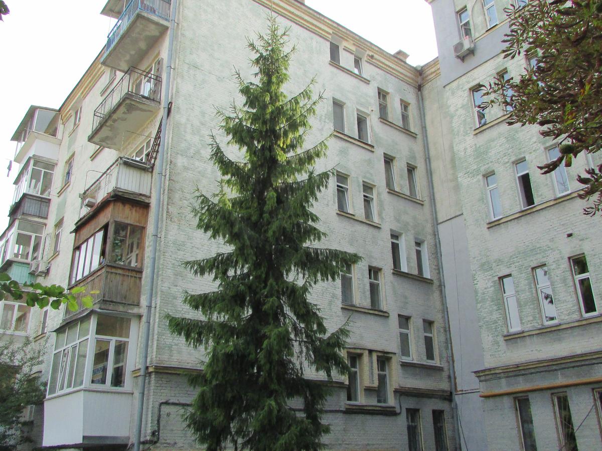 Фото будинку