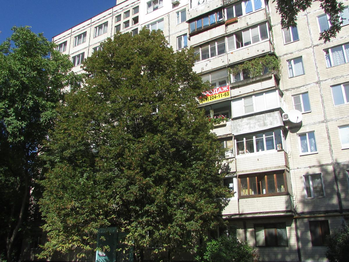 Фото будинку