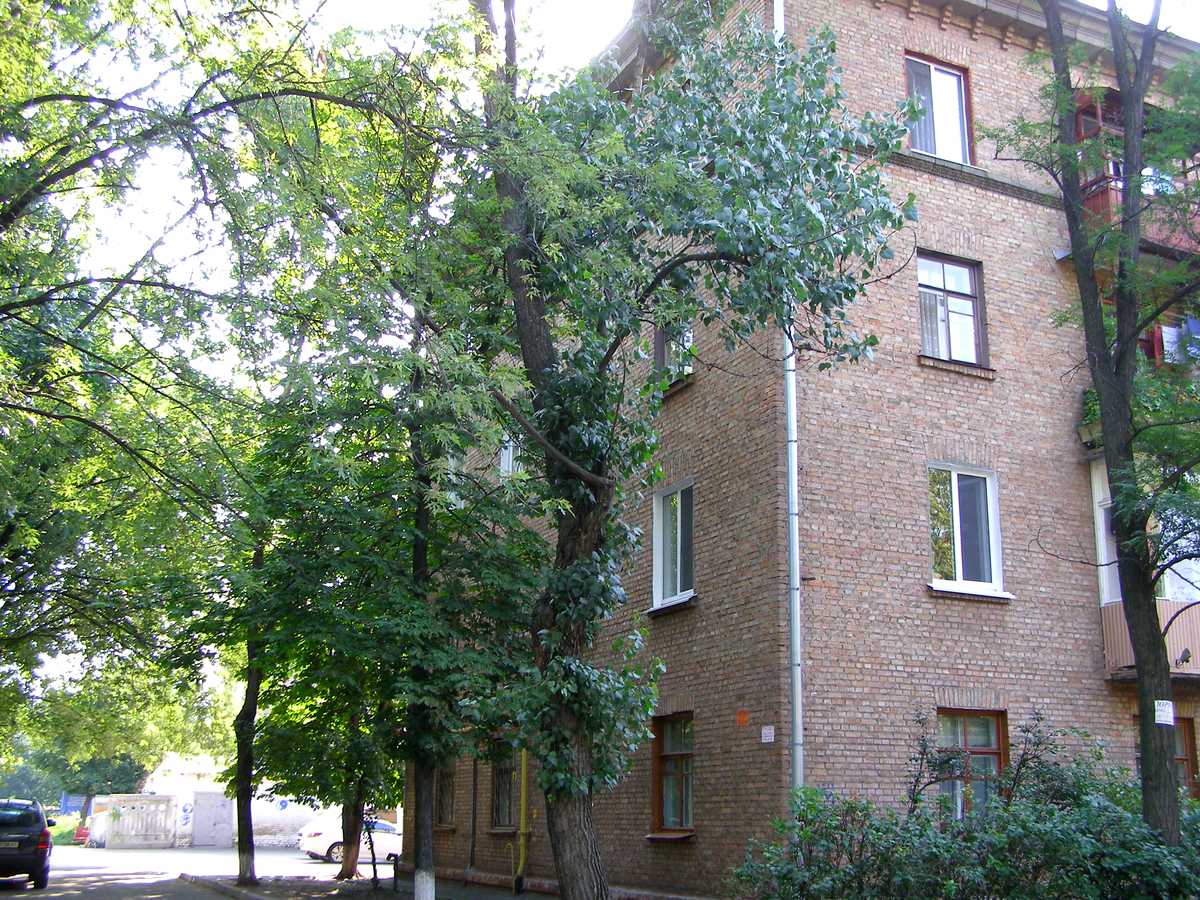 Фото дома
