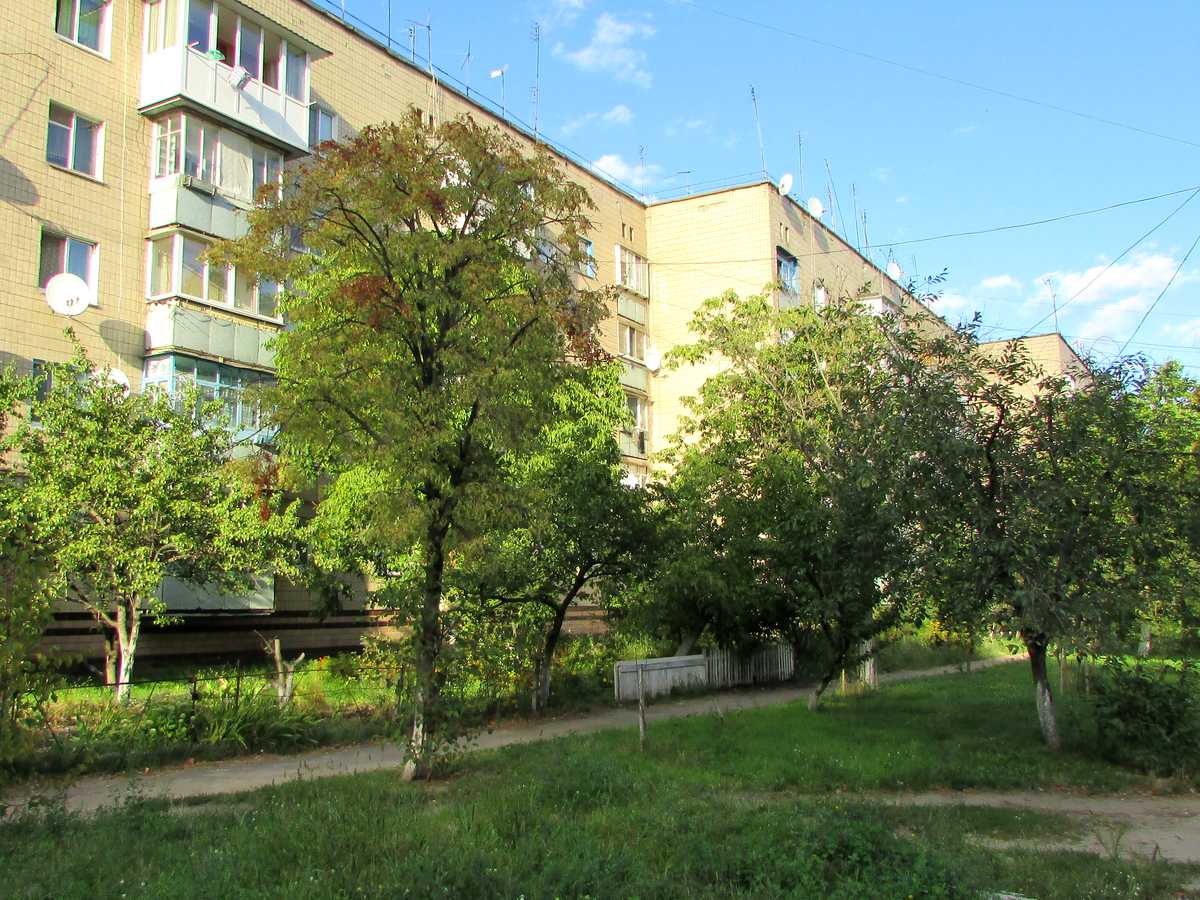 Фото будинку