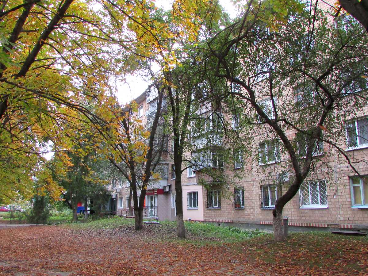 Фото будинку