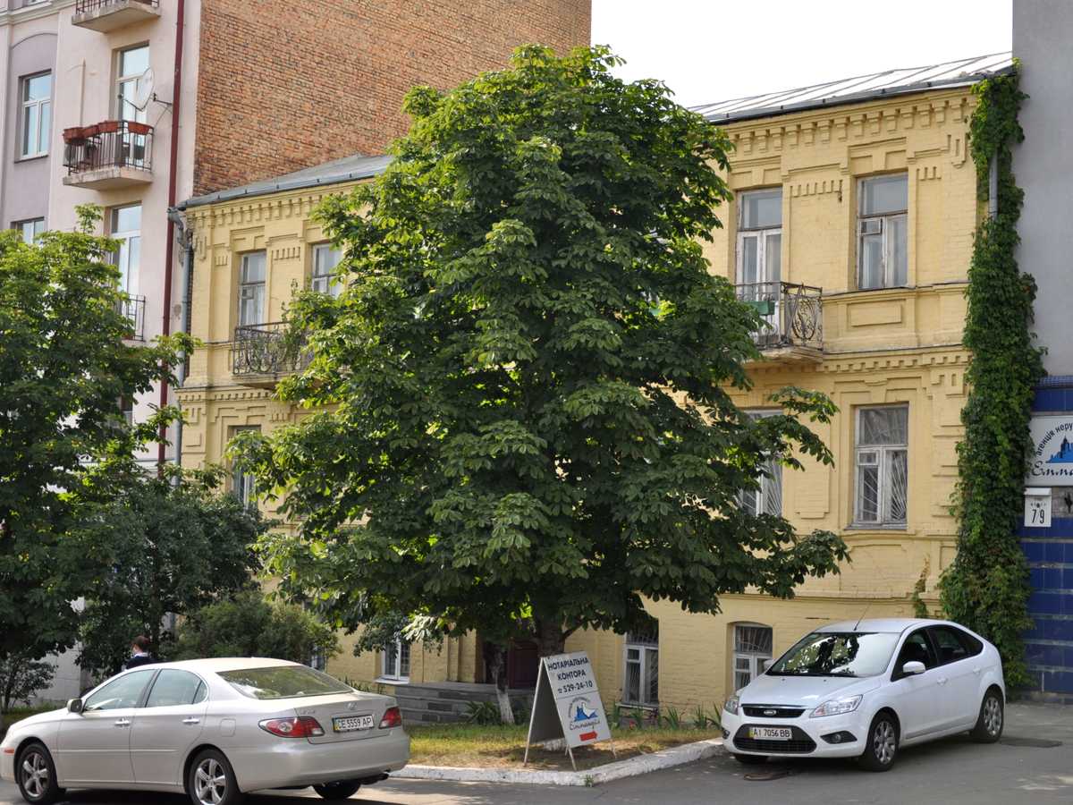 Фото дома
