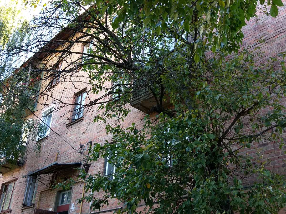 Фото дома