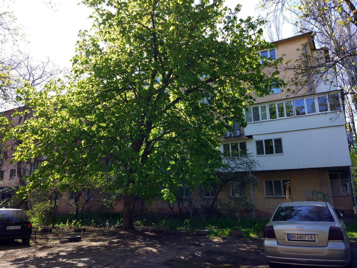 2-комнатная квартира по адресу ул. Радостная (площадь 43 м²) - imageAlt 9 2-комнатная квартира по адресу ул. Радостная (площадь 43 м²) - Atlanta.ua - imageAlt 9