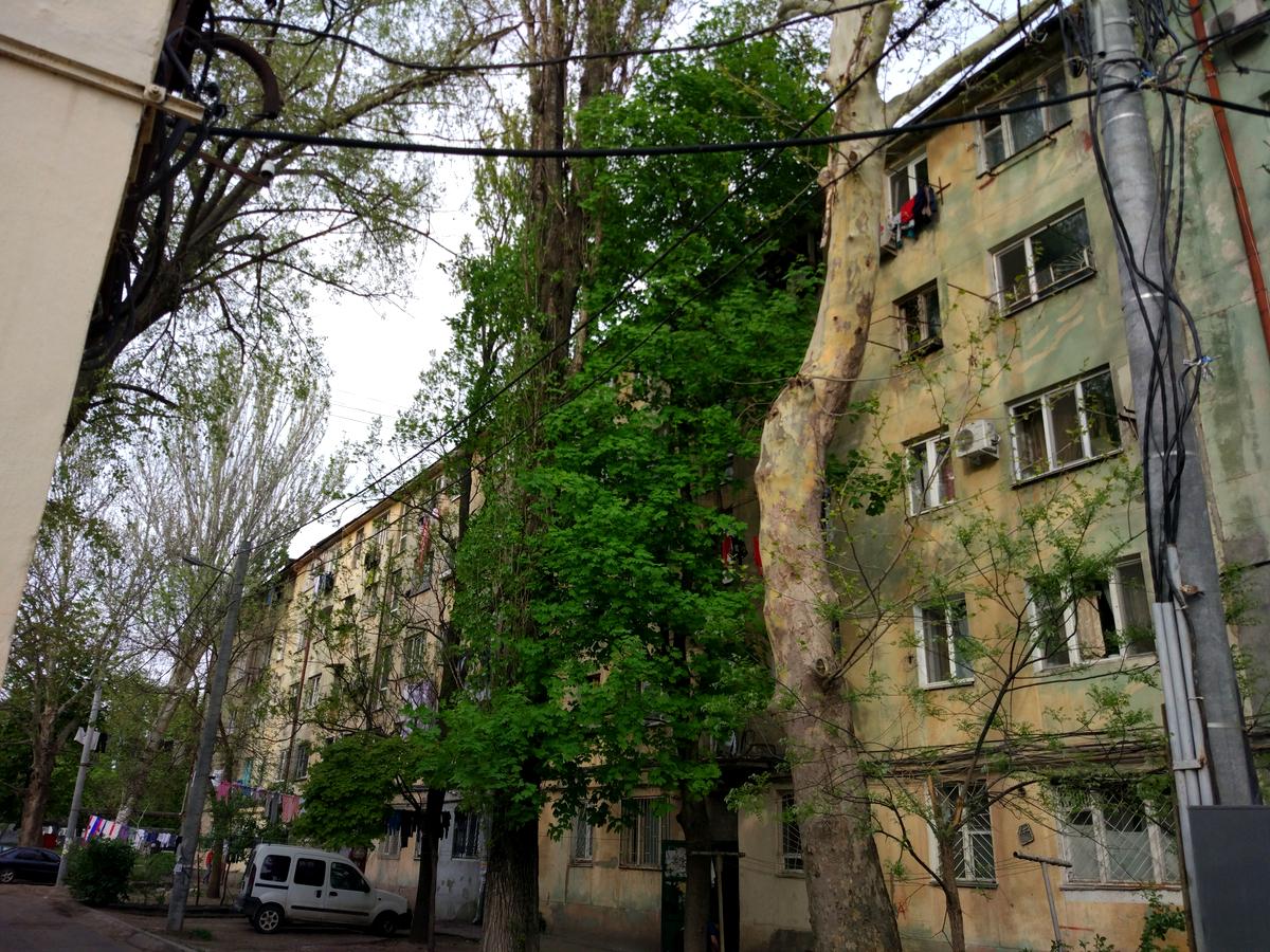 Фото будинку