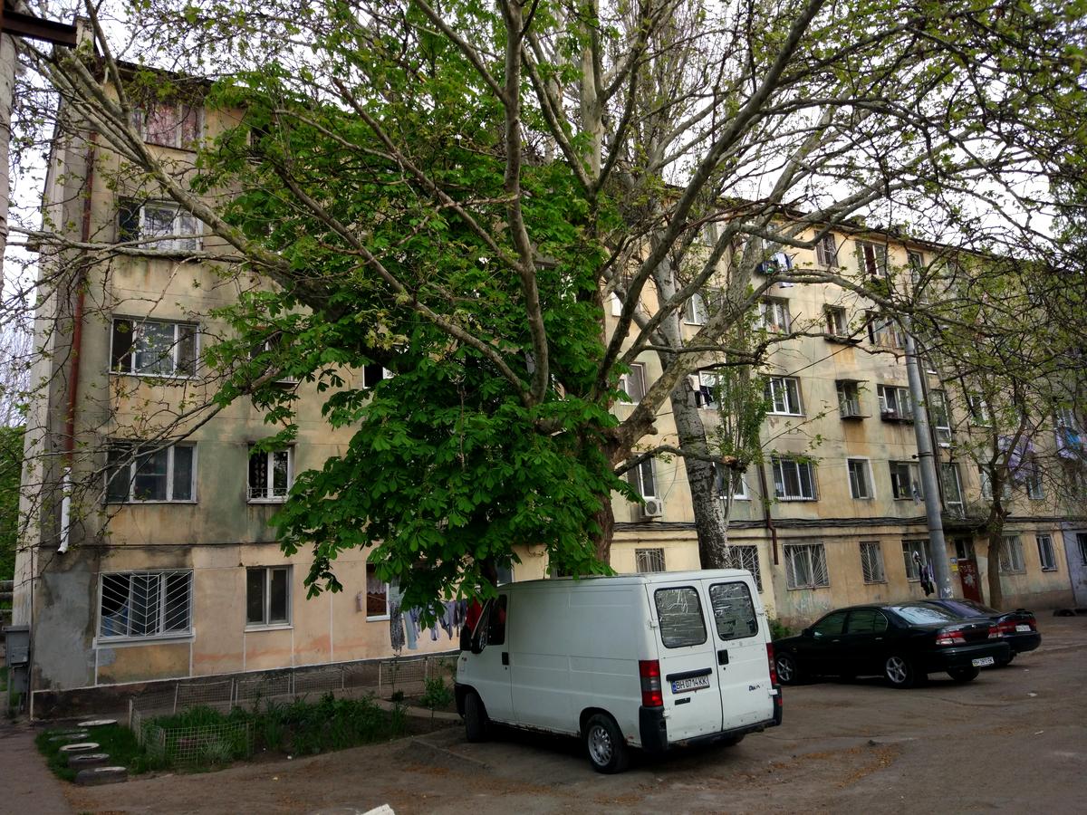 Фото будинку
