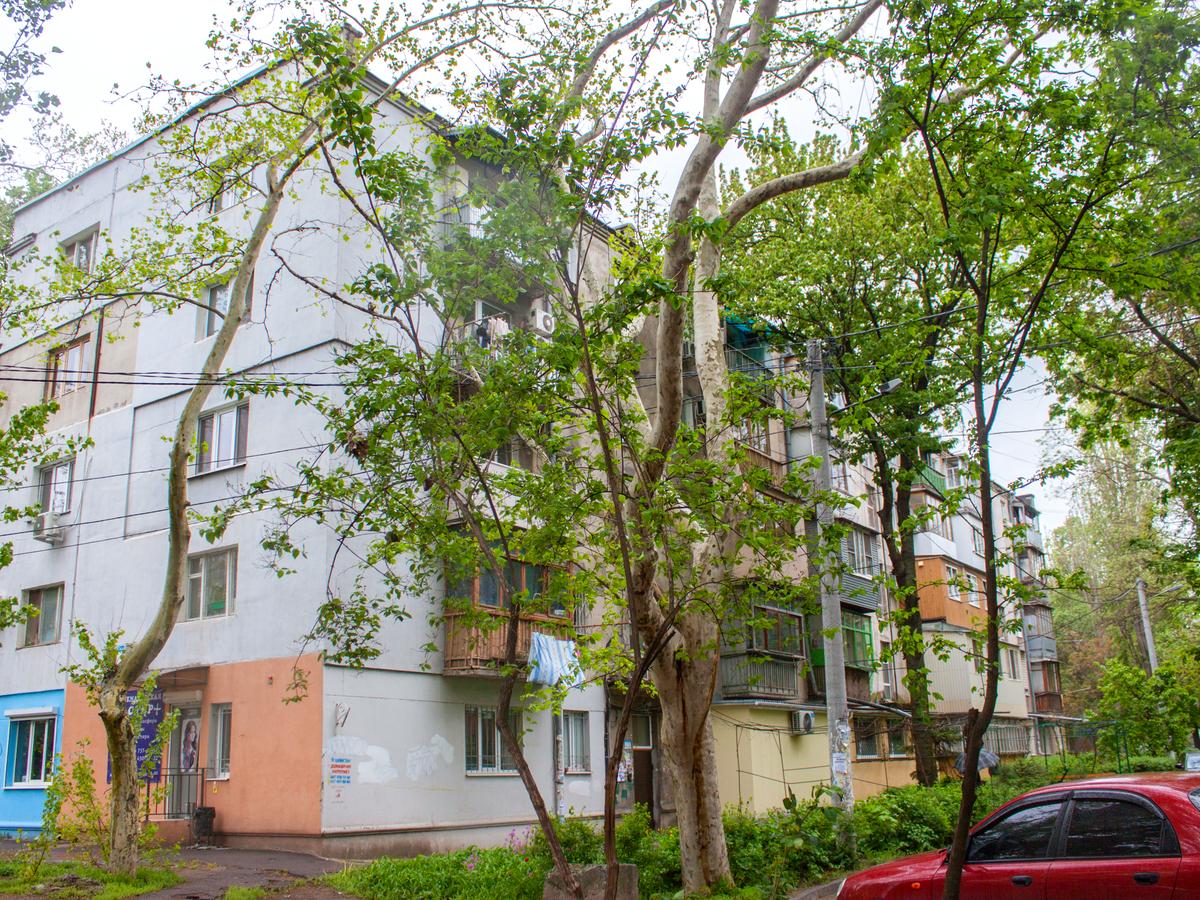 Фото будинку