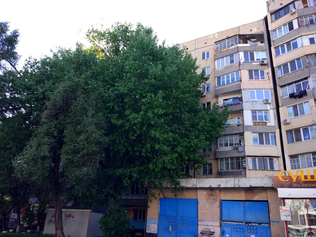 Фото будинку