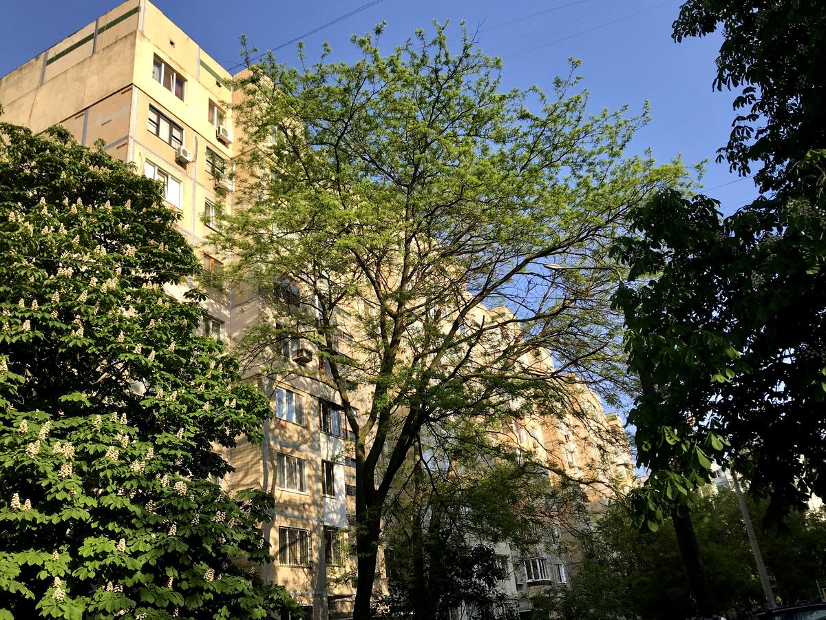 3-комнатная квартира по адресу ул. 15-я линия (площадь 62 м²) - фото 8 3-комнатная квартира по адресу ул. 15-я линия (площадь 62 м²) - Atlanta.ua - фото 8
