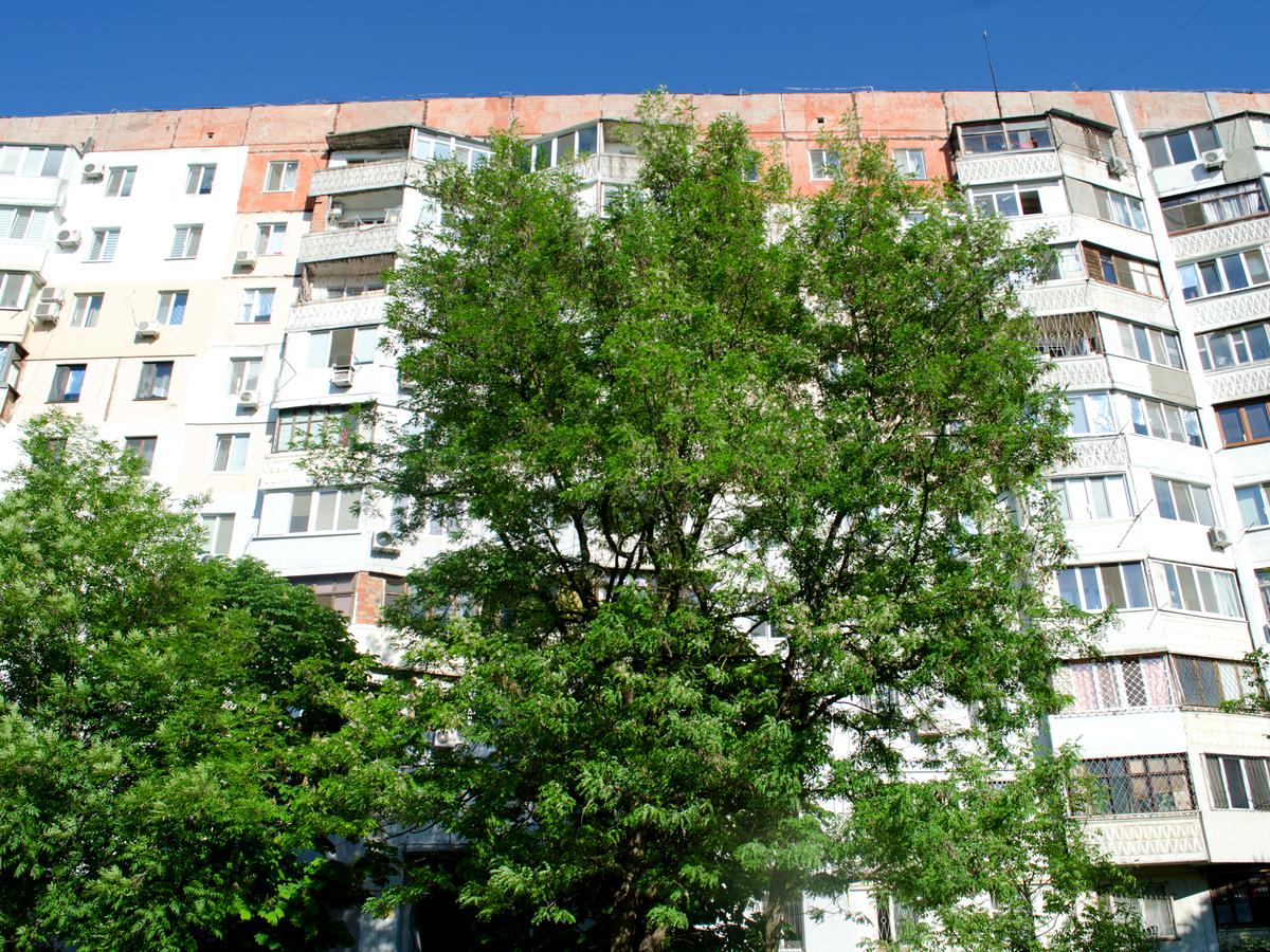 Фото будинку