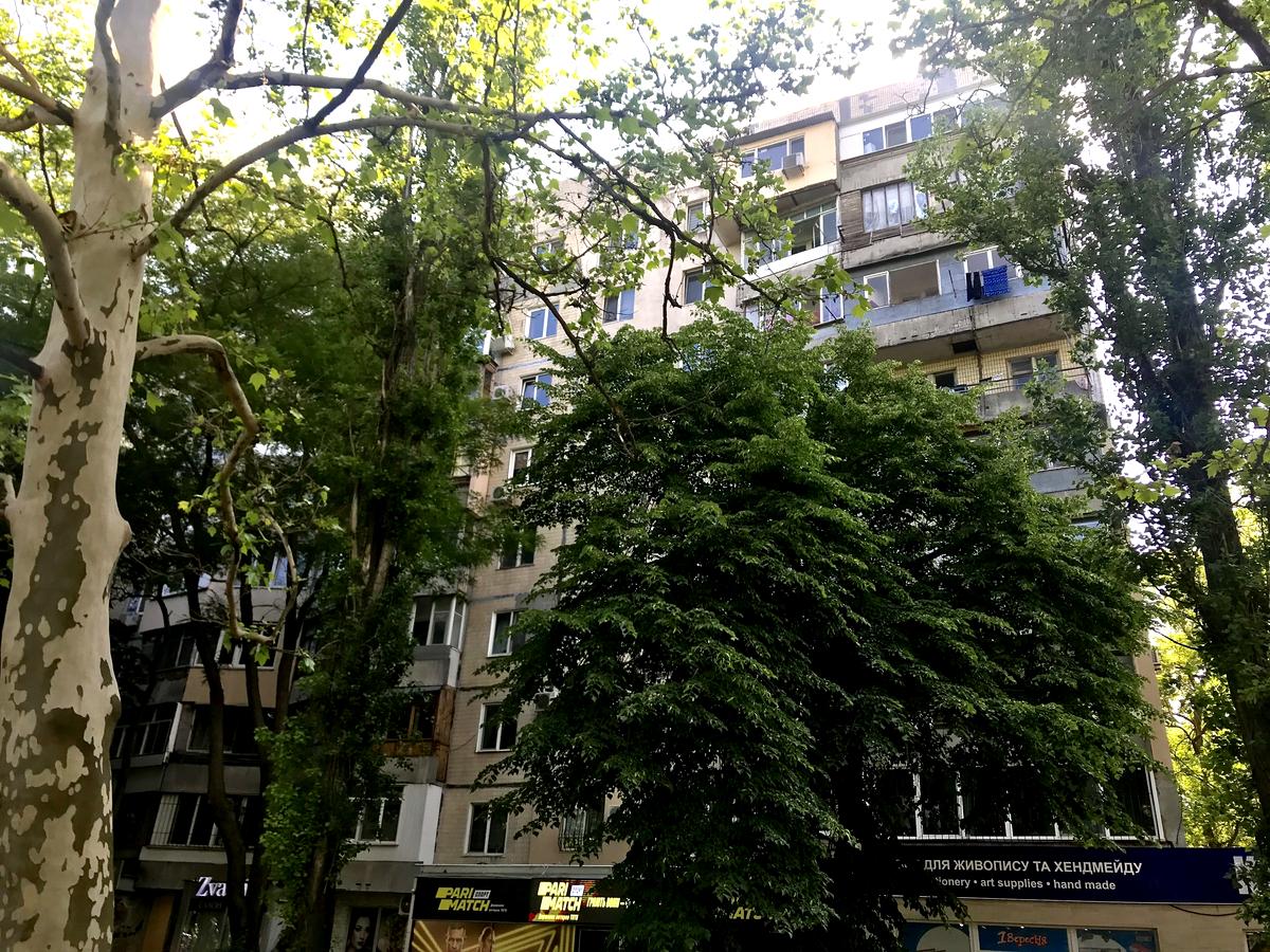 1-комнатная квартира по адресу ул. Королева ак. (площадь 34,2 м²) - фото 12 1-комнатная квартира по адресу ул. Королева ак. (площадь 34,2 м²) - Atlanta.ua - фото 12