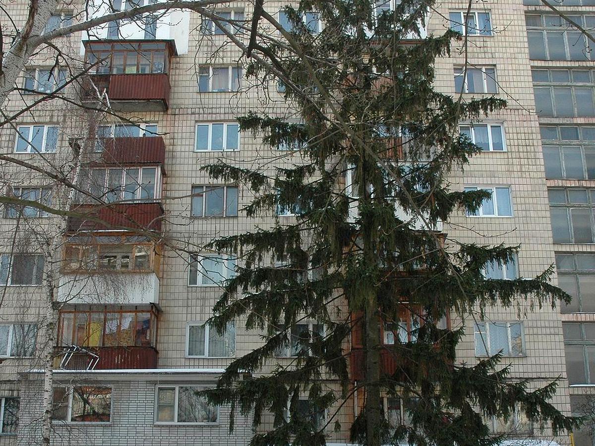 Фото дома