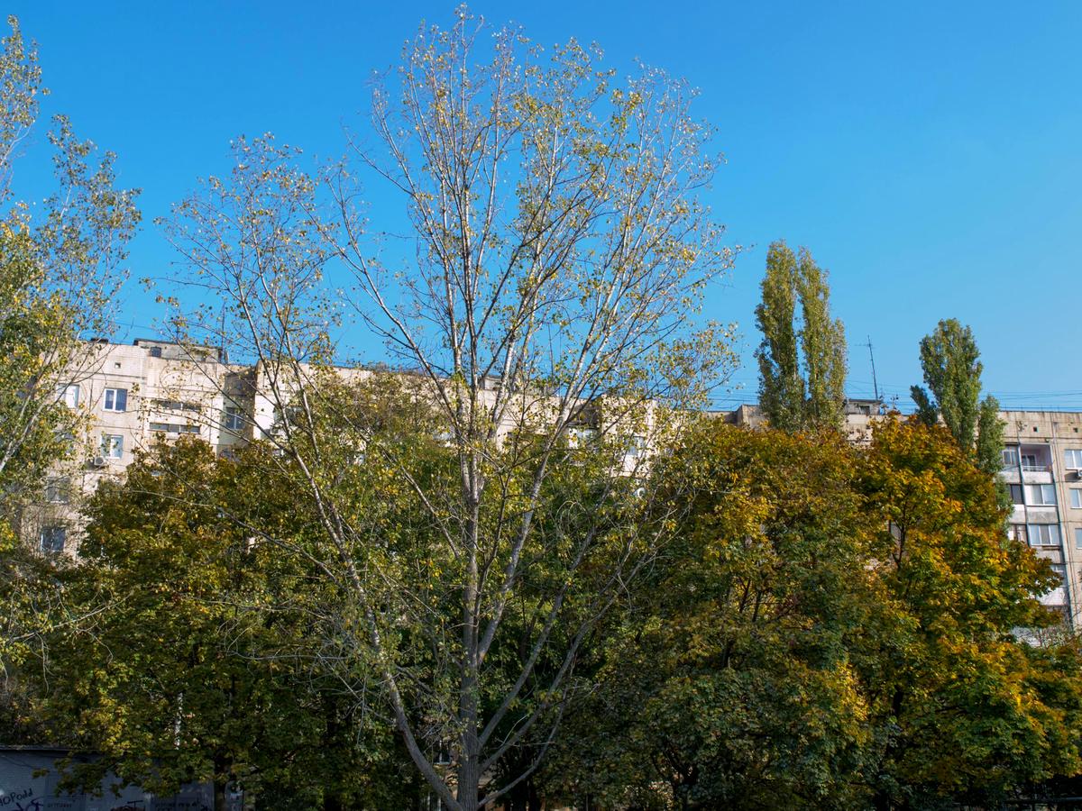 1-комнатная квартира по адресу (площадь 35 м²) - imageAlt 11 1-комнатная квартира по адресу (площадь 35 м²) - Atlanta.ua - imageAlt 11