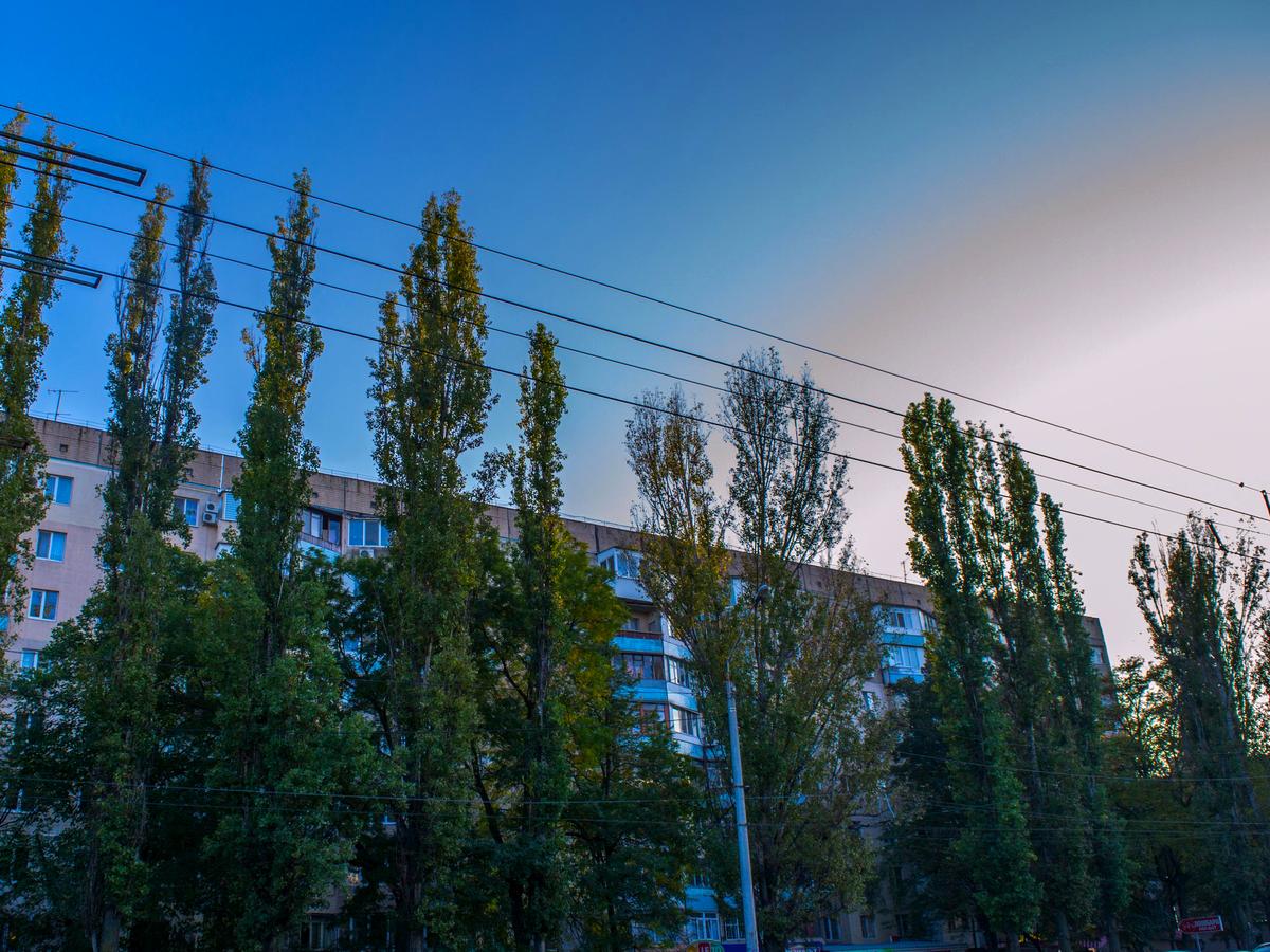1-комнатная квартира по адресу ул. Мудрого ярослава (площадь 34 м²) - фото 16 1-комнатная квартира по адресу ул. Мудрого ярослава (площадь 34 м²) - Atlanta.ua - фото 16