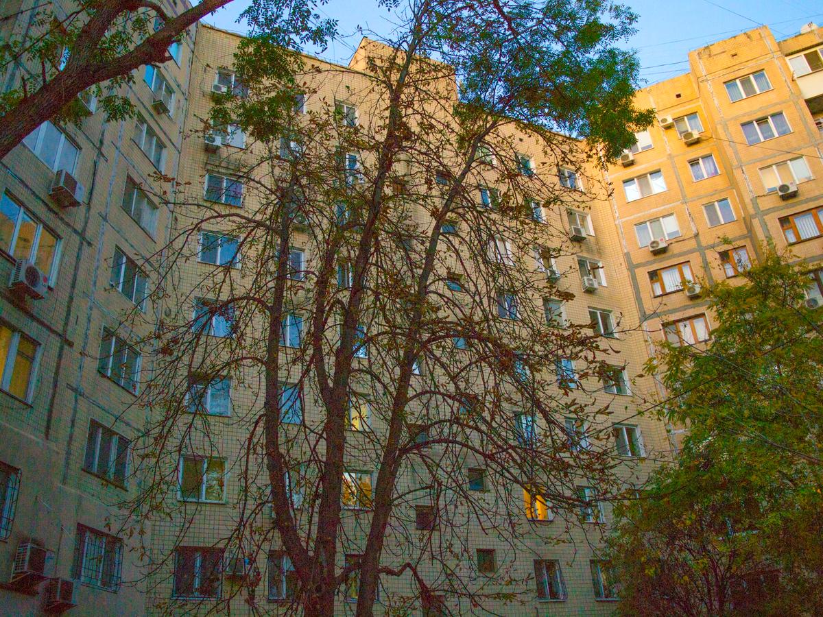 Фото будинку