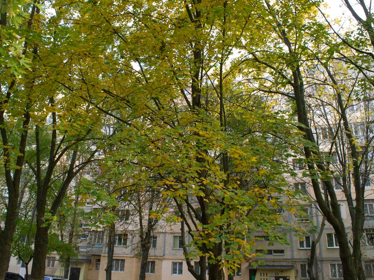 Фото будинку