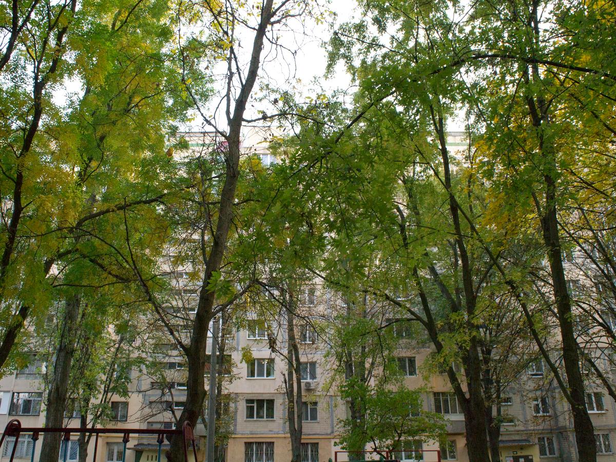Фото будинку