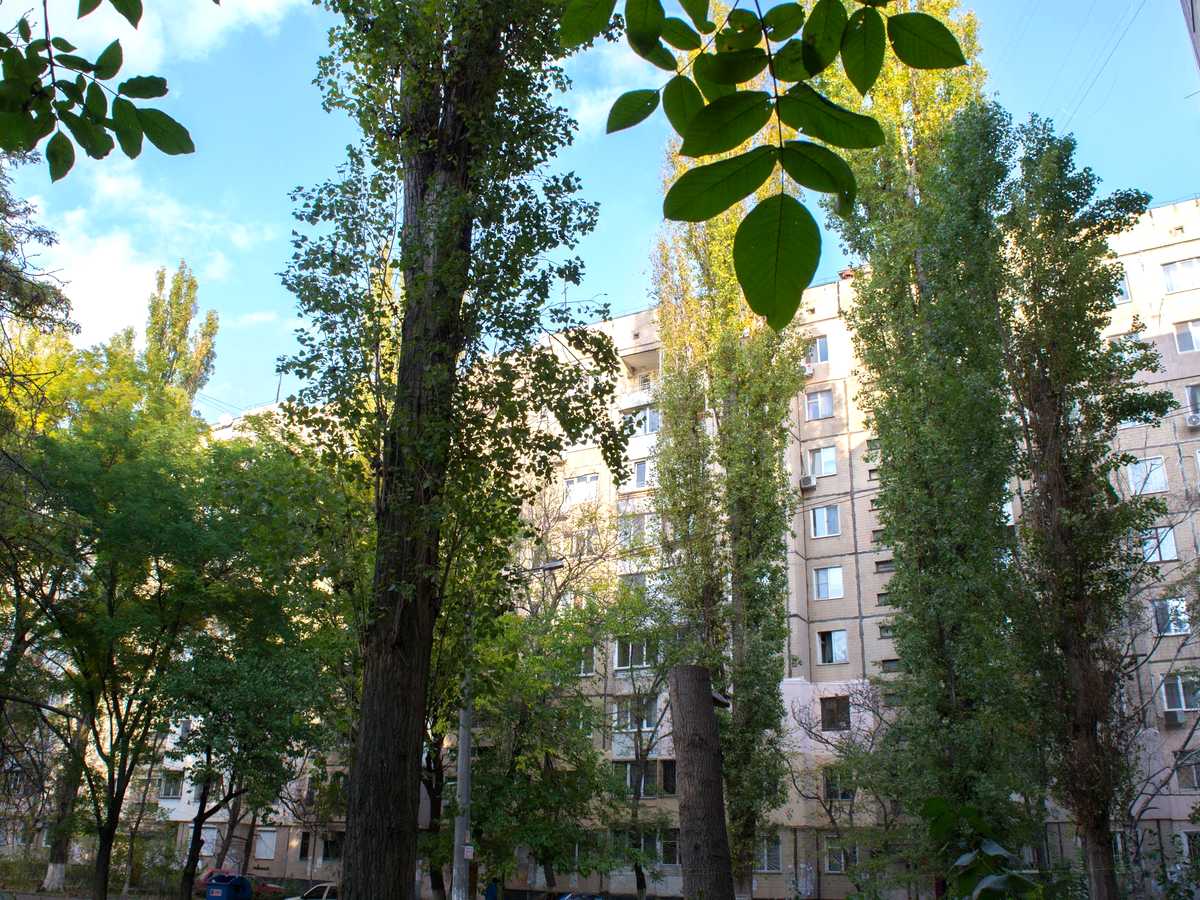 2-кімнатна квартира за адресою вул. Академіка Корольова (площа 48 м²) - фото 21 2-кімнатна квартира за адресою вул. Академіка Корольова (площа 48 м²) - Atlanta.ua - фото 21