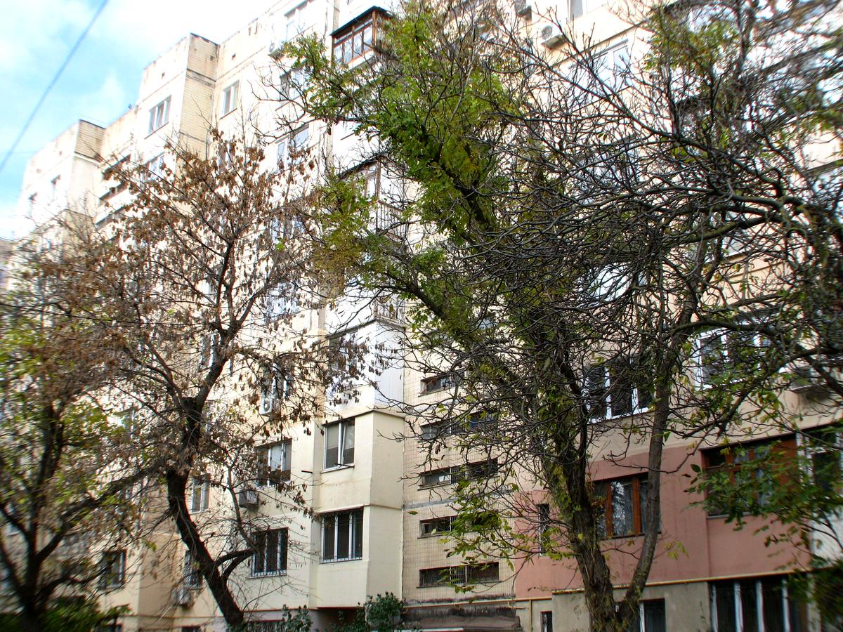 1-кімнатна квартира за адресою (площа 34 м²) - фото 14 1-кімнатна квартира за адресою (площа 34 м²) - Atlanta.ua - фото 14
