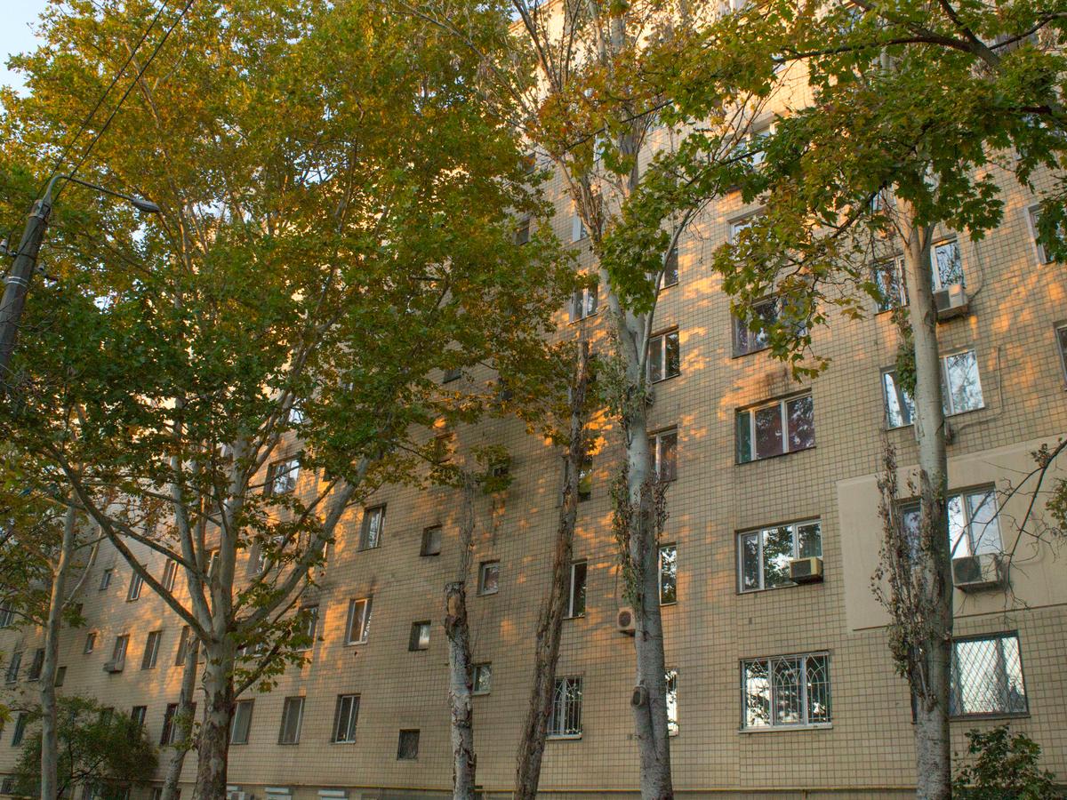 Багатокімнатна квартира за адресою вул. Інглезі (площа 75 м²) - фото 9 Багатокімнатна квартира за адресою вул. Інглезі (площа 75 м²) - Atlanta.ua - фото 9