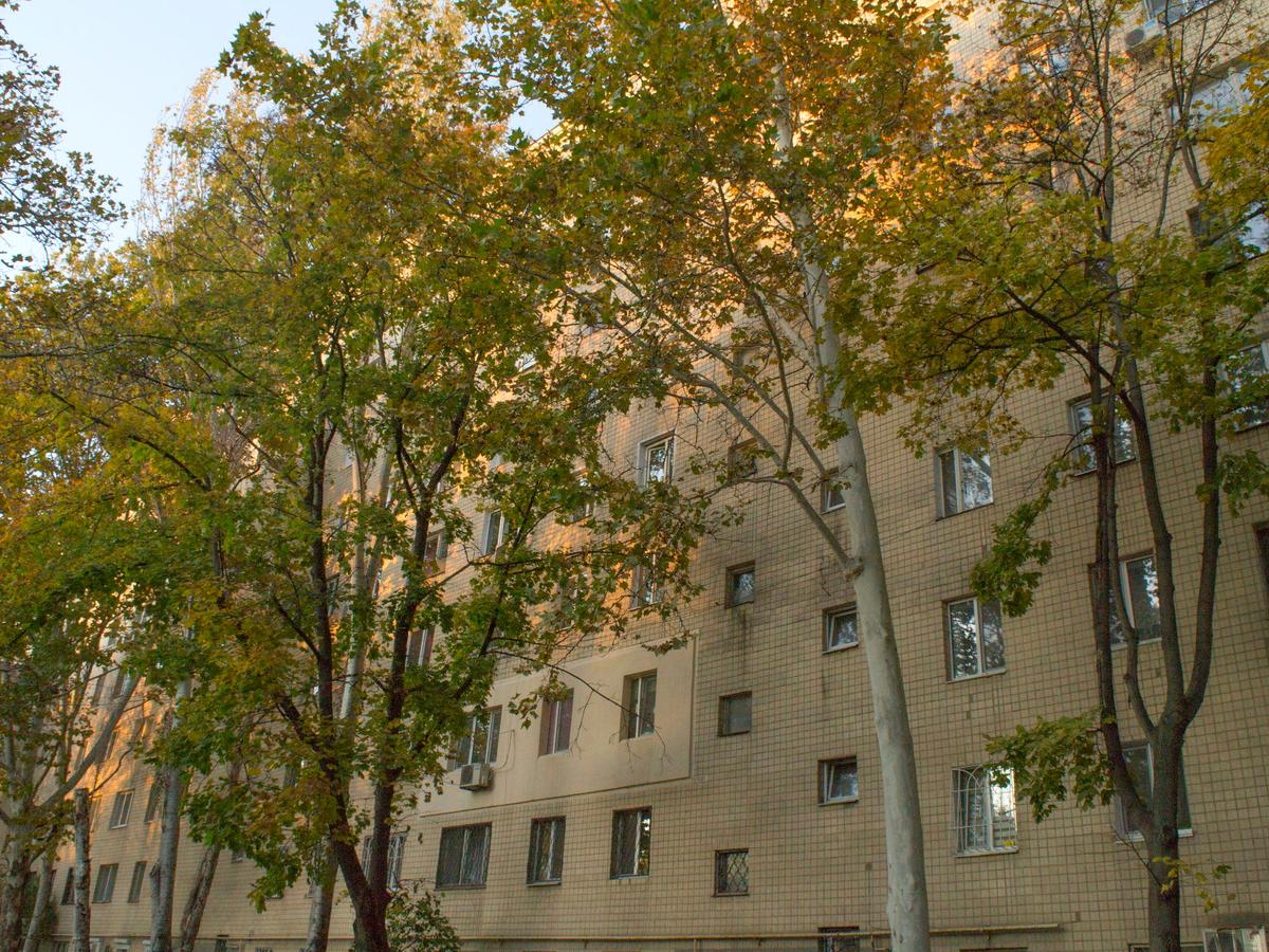 Багатокімнатна квартира за адресою вул. Інглезі (площа 75 м²) - фото 10 Багатокімнатна квартира за адресою вул. Інглезі (площа 75 м²) - Atlanta.ua - фото 10