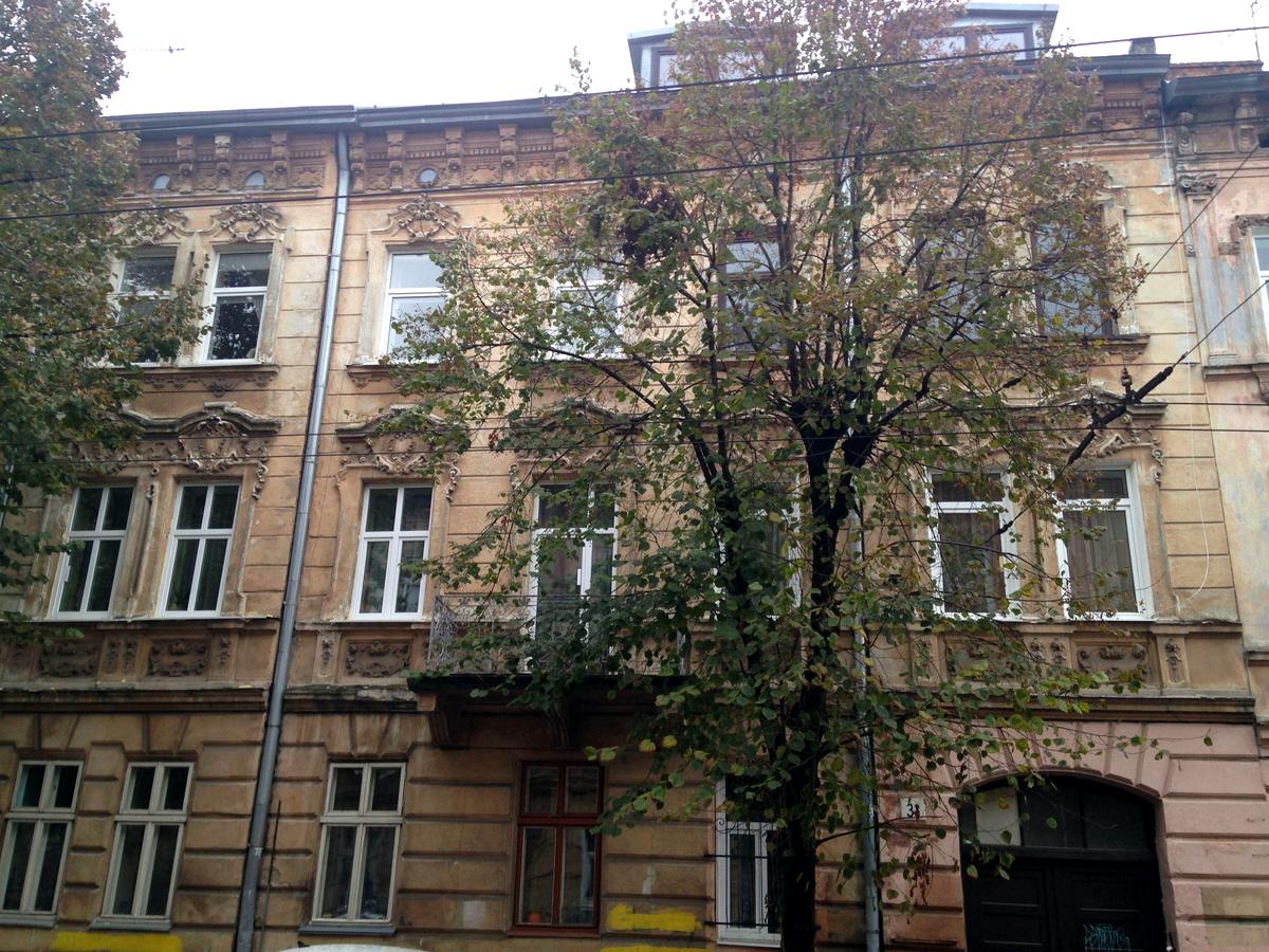 Фото будинку