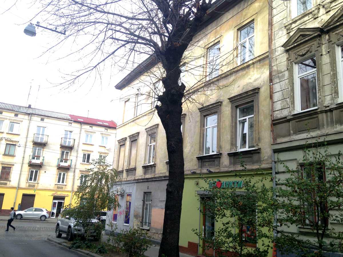 Фото будинку
