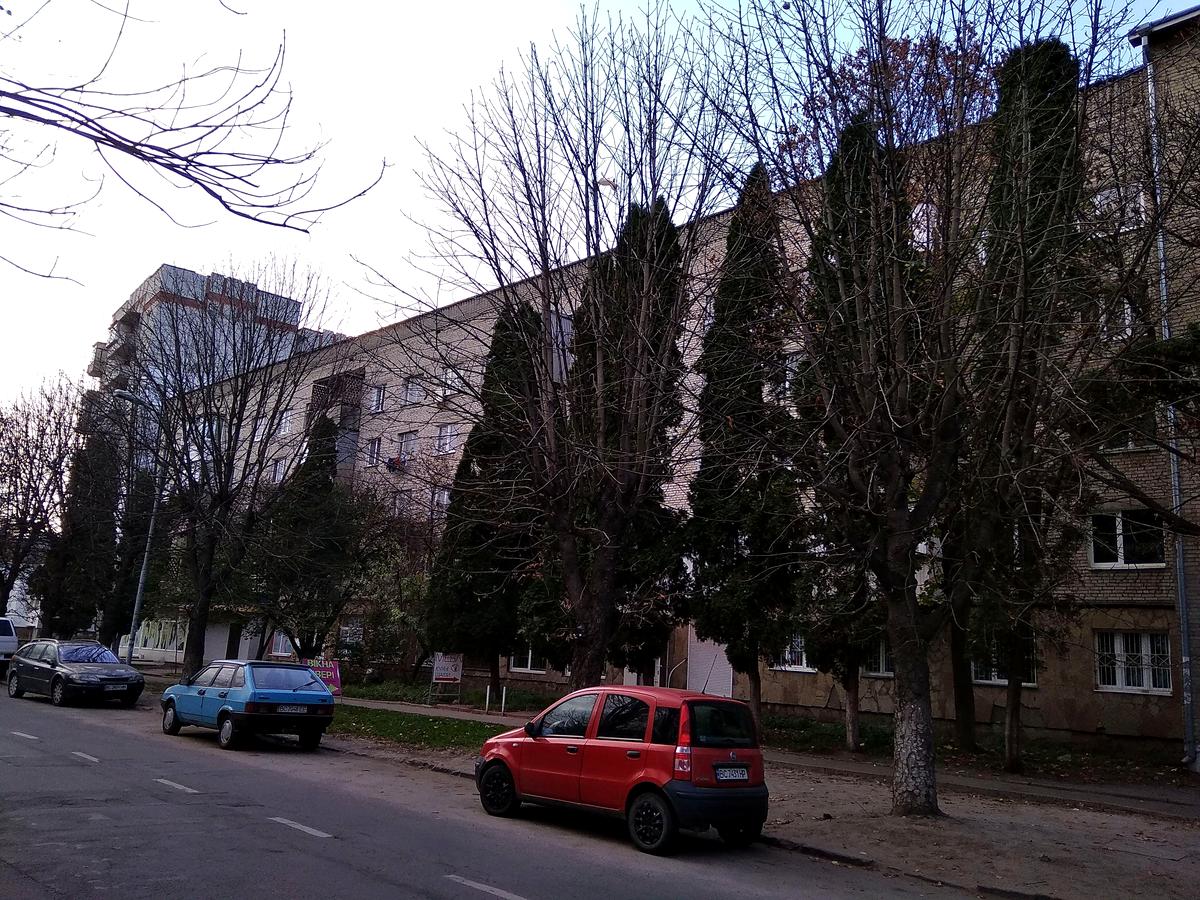 Фото будинку