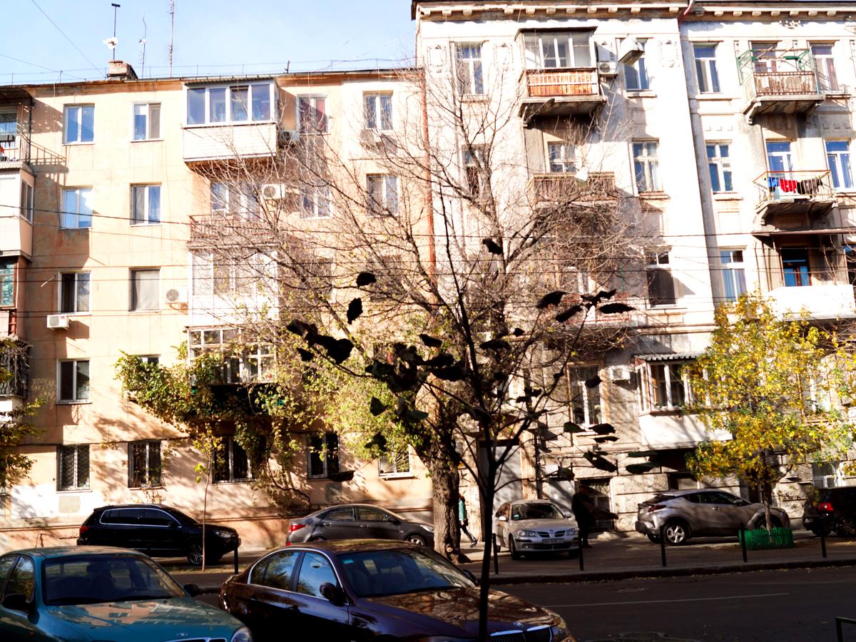 Фото будинку