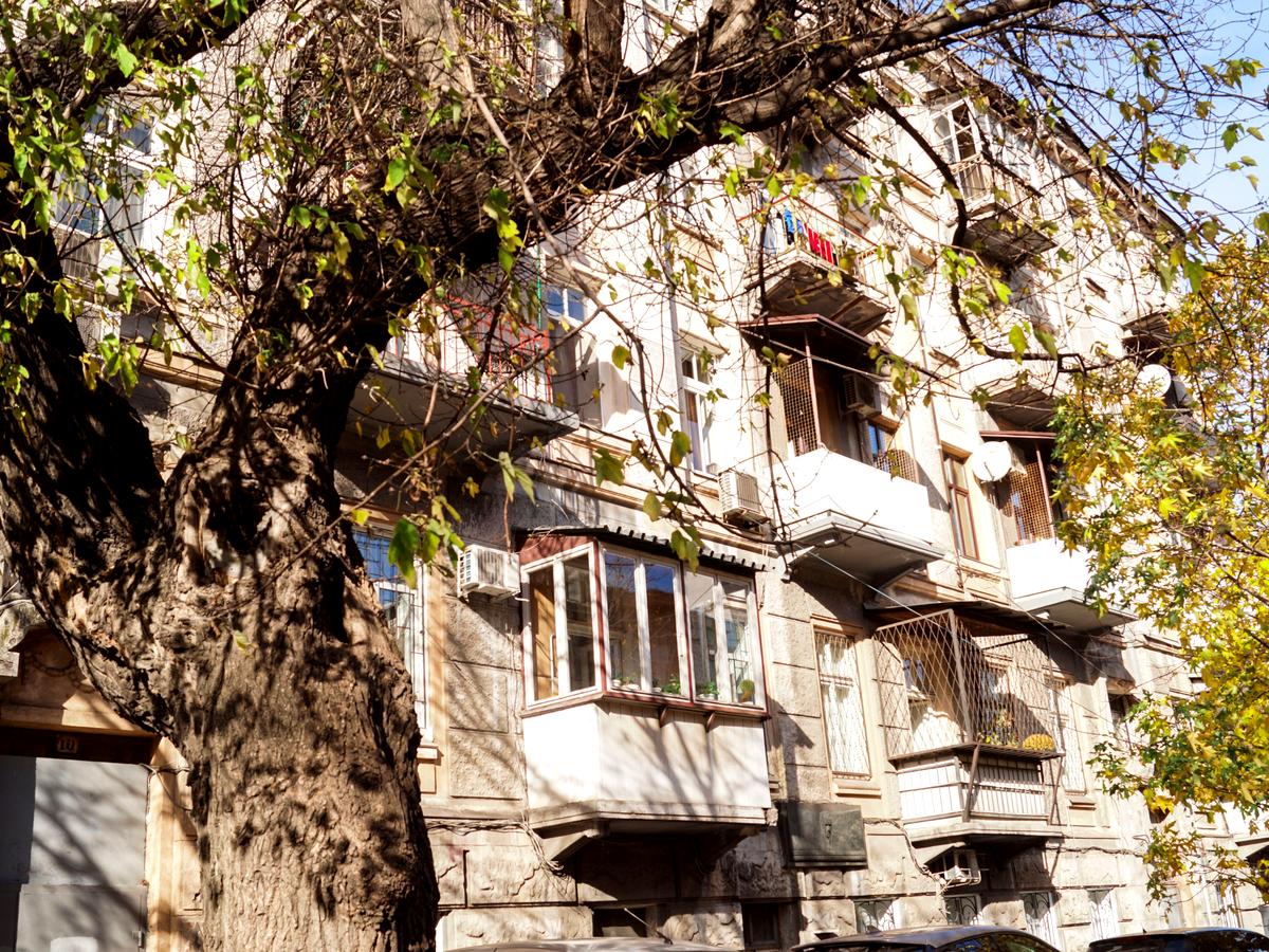 Фото будинку